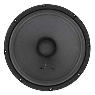 斑鸠声音 用于电媒声音 可以观察斑鸠生活习性