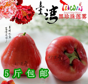  【珍果堂】新鲜进口水果台湾黑珍珠莲雾/黑金刚水果5斤装包邮