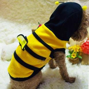 狗衣服宠物秋冬款可爱蜜蜂装 泰迪比熊博美吉娃娃小鹿犬贵宾衣服