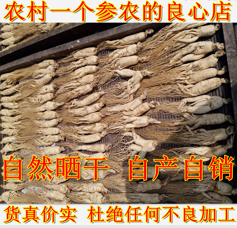 东北长白山人参 白参 生晒参 园参 100克4支左右|msdalam kategori makanan berkhasiat tradisional, ginseng tonik, ginseng/ginseng - dari Buy2taobao.com untuk memberikan perkhidmatan ejen Taobao profesional membeli