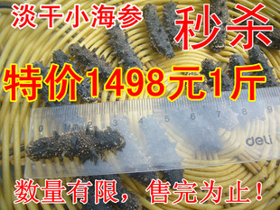  特价淡干小海参 优质刺参 大连辽参 海参干货 自产自销 批发