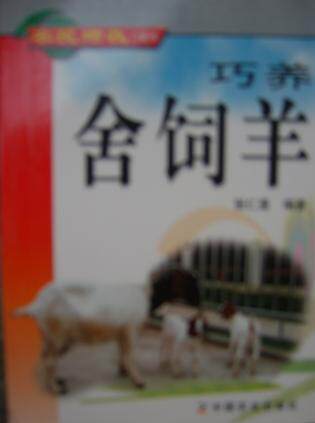 YSSY正版促销巧养舍饲羊/张仁里/9787109093805