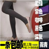 袋鼠园冬装清仓百搭大码女装修身 丝袜 拉绒踩脚 打底裤 江浙包邮