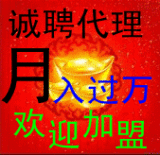网络游戏辅助代理 加盟 平台 专业售后 包教包会包开店 永久代理