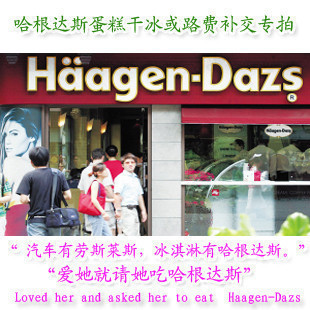 大连哈根达斯冰淇淋蛋糕【哈根达斯淘宝专卖店】干冰或路费专用