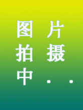 正版保证,鸟百科,