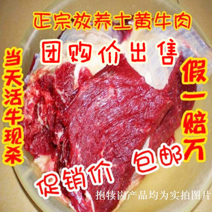  新鲜散养土黄牛肉 新鲜生牛肉 新鲜牛肉牛腩牛腱子牛里脊牛尾特价