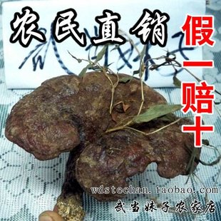  正宗野生灵芝 赤芝  名贵中药材 整枝灵芝 滋补品 非灵芝片