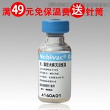 taobao english 2151286487