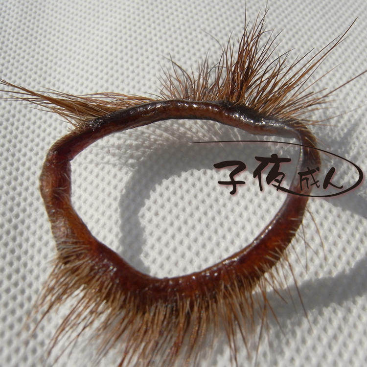正品纯天然羊眼圈 男用阴茎延时套环极品 夫妻调情情趣用品鸡巴环