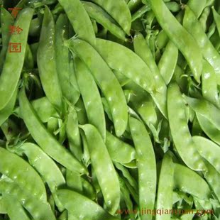  【京黔园】绿色蔬菜 荷兰豆 豌豆 寒豆 蚕豆 北京买菜当天送到家