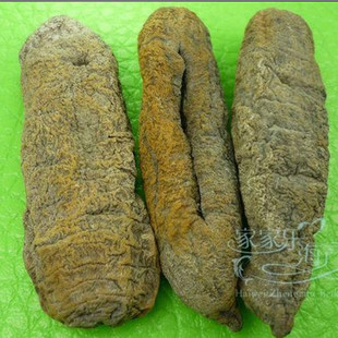  5斤包邮乌参/海茄子海参淡干干货送泡发说明书1斤大号约15个250克