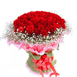 【多图】红色玫瑰 - 红色玫瑰品牌|价格|评论,红