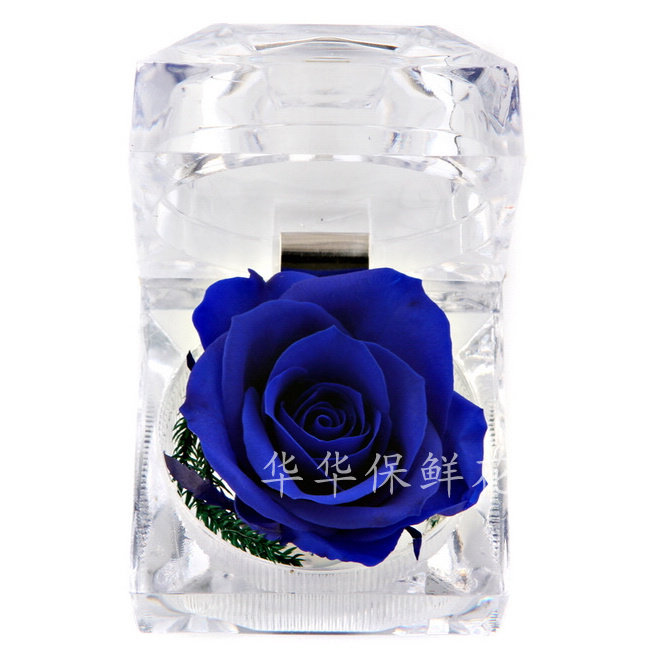 保鲜花永全民疯抢不凋谢的玫瑰戒指盒圣诞节预定蓝色妖姬包邮