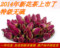 上下架计划:【天天特价】头期平阴玫瑰花茶特级无硫散装重瓣玫瑰花茶特价正品