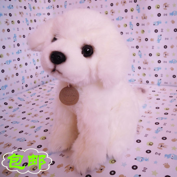 【组图】儿童玩具娃娃,玩具娃娃用英语怎么说