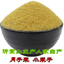 2011新沂蒙庄户农家自产有机 营养米 月子米 小米子 宝宝米 500g