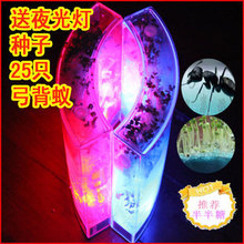 正品城堡蚂蚁工坊送夜光灯特大号 送宠蚂蚁25只+种子1包备送蚁后