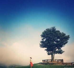 网易邮箱 tree@yeah.net 极品单词邮箱 无安全