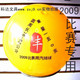 标准气排球丰牌气排球(150克) 正品保证假一赔十（附球针）　
