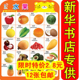 taobao english 4327498922