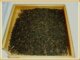 福建红茶 茶叶闽红政和工夫茶金毛猴190元