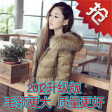 ���ڷ��� ���� 2011�����¿� �̿����ë<span class=H>��</span><span class=H>ë��</span>�������޷� <span class=H>ë��</span>			