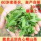 上下架计划:崂山绿茶 2014 新茶/春茶 正宗雨前特级有机茶叶崂山茶500g 青岛