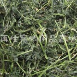 taobao english 3427171235