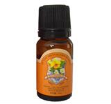 全国运费5元|超好用 雅而顿睫毛精华液10ml  使用7-10天看效果