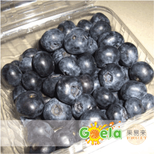  【果易来】新鲜水果 鲜果 特级智利进口有机蓝莓 4盒起江浙沪包邮
