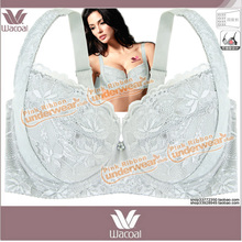 ȫ����� ����������������ͼ��п�70-85 B-G ��ɱ����ɫ ԭ268