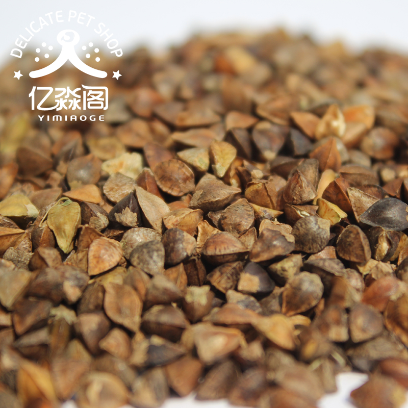 亿淼阁 仓鼠粮食天然谷物自配杂粮仓鼠粮仓鼠零食 带壳荞麦100G|msdalam kategori haiwan peliharaan/makanan haiwan dan bekalan, hamsters kelas haiwan peliharaan dan lain-lain kecil, Feed/makanan ringan - dari Buy2taobao.com untuk memberikan perkhidmatan ejen Taobao profesional membeli