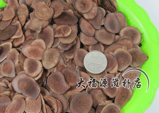  梅花鹿茸片，鹿茸血片鹿茸片正品 鹿茸 整枝超值抢购1元/克