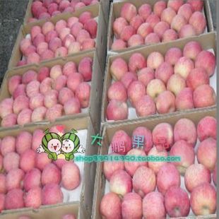  {大鹏果品}自家收货陕西洛川特级红富士苹果7.5KG左右 新鲜水果