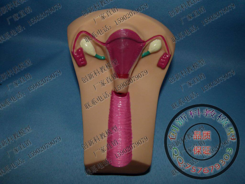 爱母<em>节育环</em>哪种好?爱母<em>节育环价格</em>,爱母<em>节育环</em>