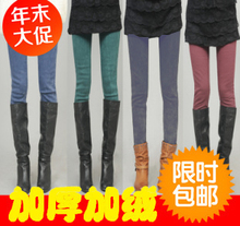 2件包邮2011秋冬 打底裤 女 冬 加厚加绒小脚裤铅笔雪花裤纯色裤