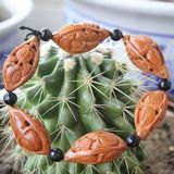 淘宝购物多福聚宝楼多福堂 李居明书籍 密宗修