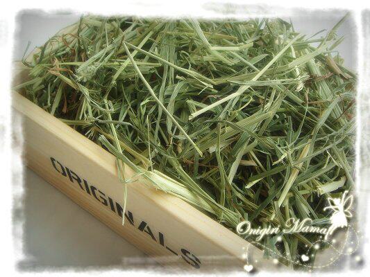 Balls Ma Ma] JoJo's Best Timothy grass 500G JOJO Totoro
