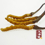 taobao english 7625975375