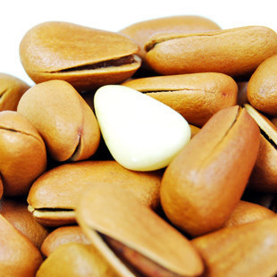  新农哥 一级东北野生松子 红松子 开口松子 168g 特价坚果零食