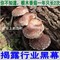 上下架计划:特级椴木野生香菇干货小花菇冬菇蘑菇香茹木耳批发干货小香菇500g