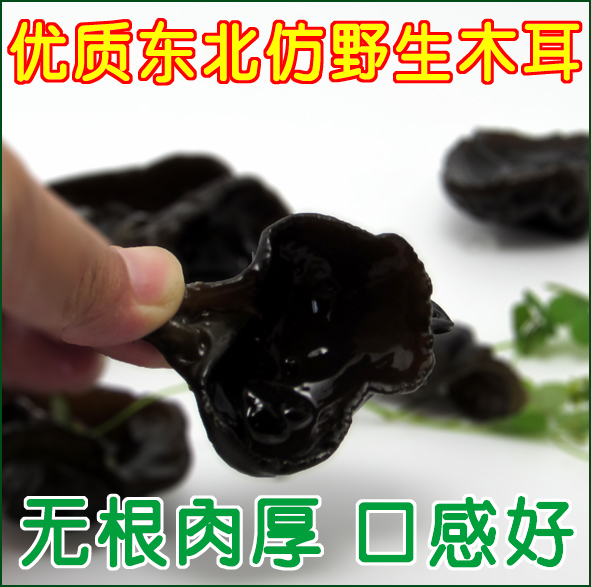 Auricularia auricula mimic wild Northeast Changbai Black fungus Autumn ear bowl wood dried food specialty 250 gramin the Agri rice/Dried foods/Condiment , Dried foods/Meat Dry , Dry/Native , Black fungus category - from Buy2taobao.com to provide professional Taobao agent buy service