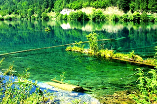 【评价】四川旅游 九寨沟黄龙\/牟尼沟 汽车3日