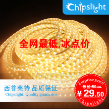 西普莱特 LED贴片灯带 SMD5050-60高亮版 暗槽灯带 冰点价
