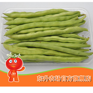  【东升农场】无公害四季豆_青菜玉豆_新鲜蔬菜 广州配送（300g）