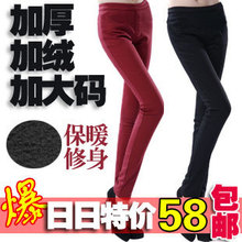 包邮 大码弹力加厚加绒显瘦松紧腰弹力铅笔裤休闲小脚裤女裤