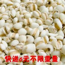 特级小粒薏米500g 小粒薏仁米 无霉味 快递6元不限重