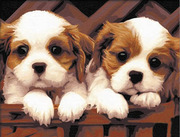diy数字油画风景客厅情侣抽象数码可爱朋友30*40两只小狗