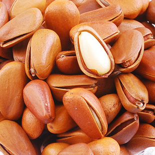  特产零食 开口松子东北松子野生红松子坚果零食 2件包邮 特价